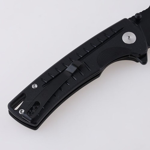 Shieldon Ichthyolite EDC Pocket Knife, 3.2" Blackened D2 Blade Black G10 Handle Liner Lock Folding Knife with Clip, Qualified as Outdoor Hunting Knife 
