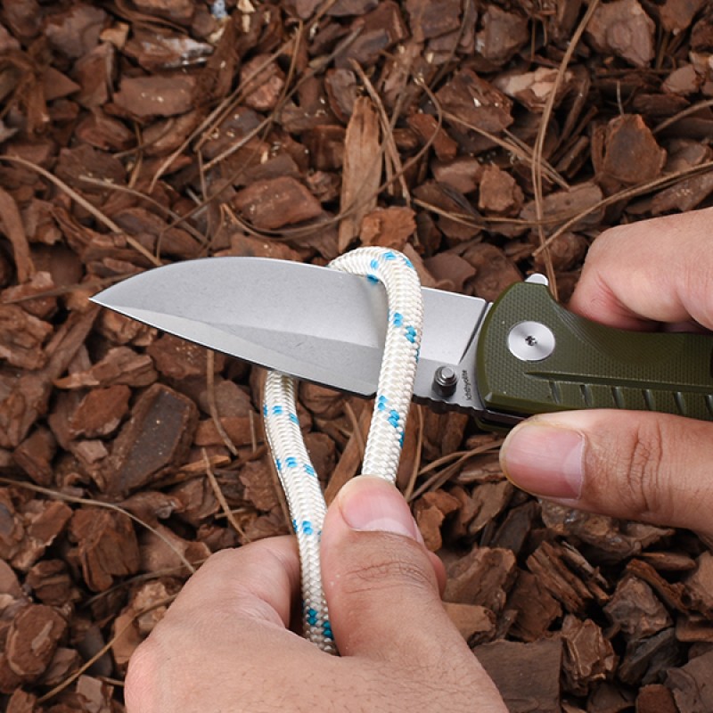 Shieldon Ichthyolite EDC Pocket Knife, 3.2" Stonewashed D2 Blade Olive G10 Handle Liner Lock Folding Knife with Clip, Qualified as Outdoor Hunting Knife 